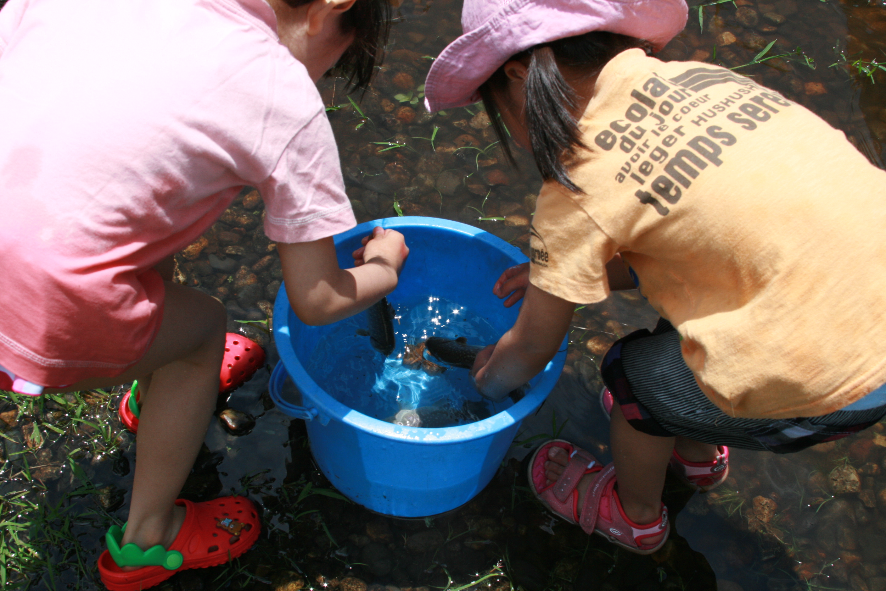 魚つかみどり池広場 イナワシロ 緑の村 一般財団法人猪苗代町振興公社