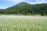 町営磐梯山牧場