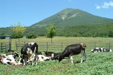 町営磐梯山牧場